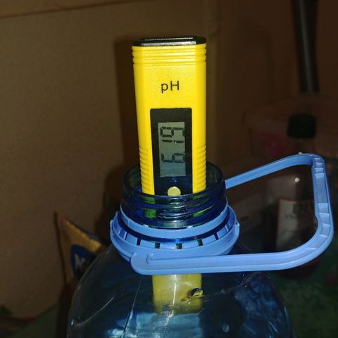 Super Lemon Haze growlog timeline photo
