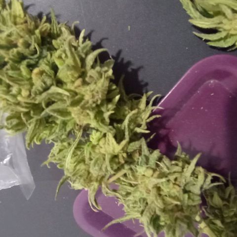 Gaara x nn growlog photo: Gaaraxnn(f1) #4
Gaara x nn(f1) #6