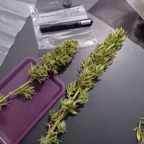 Gaara x nn growlog photo: Gaaraxnn(f1) #4
Gaara x nn(f1) #6