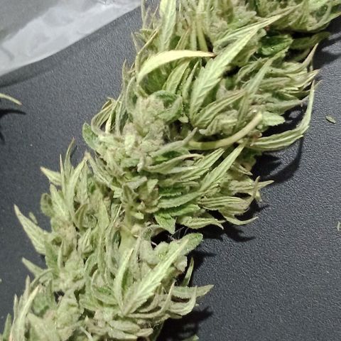 Gaara x nn growlog photo: Gaaraxnn(f1) #4
Gaara x nn(f1) #6