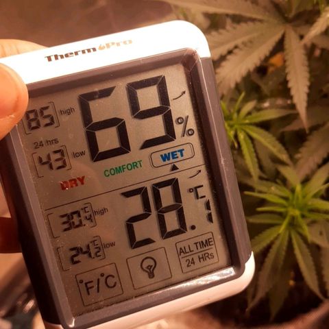 O.G. Kush growlog timeline photo