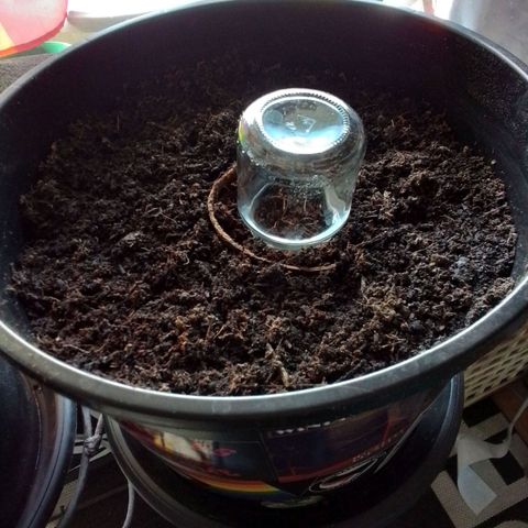 Unus growlog timeline photo