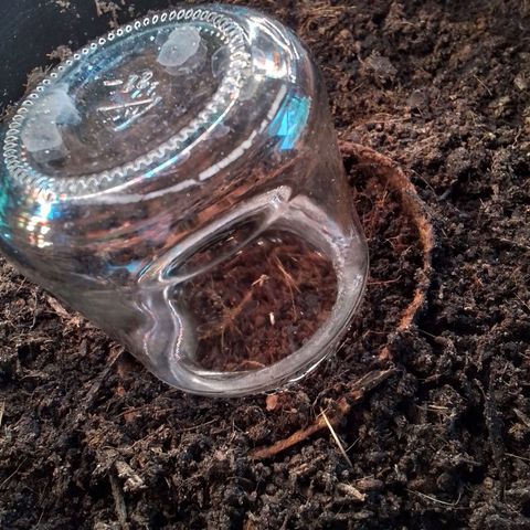 Unus growlog photo: Kommt schon raus der Kleine. 