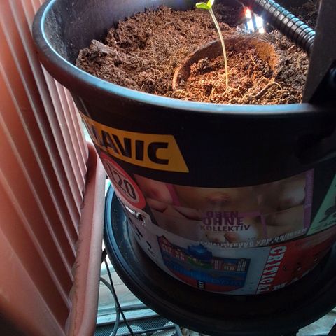 Unus growlog photo: Too long! 