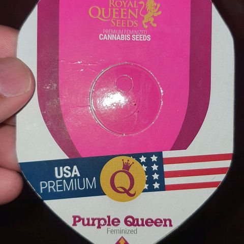 Purple Queen growlog timeline photo