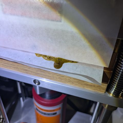 Garlic Budder #1  growlog timeline photo