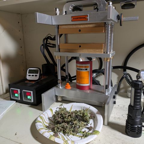 Garlic Budder #1  growlog timeline photo