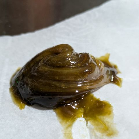 Garlic Budder #1  growlog timeline photo