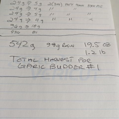Garlic Budder #1  growlog timeline photo