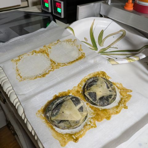 Garlic Budder #1  growlog timeline photo