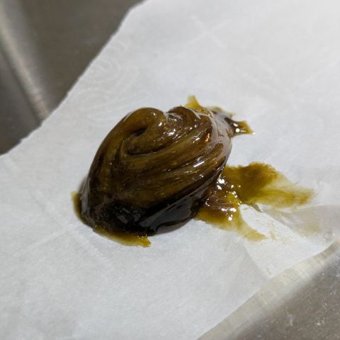 Garlic Budder #1  growlog timeline photo