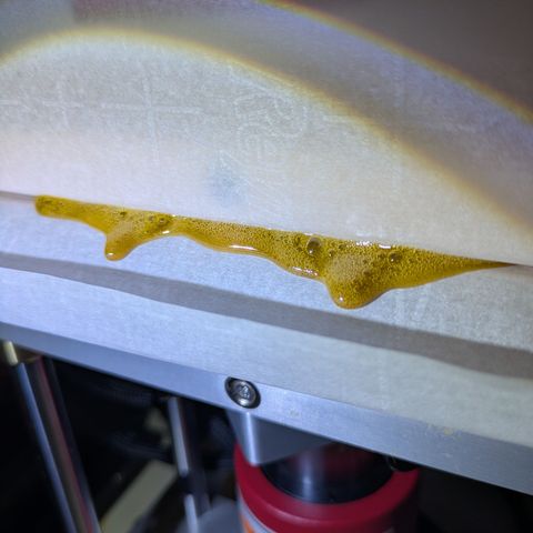 Fortune Cookie X Do-si-do #6 growlog timeline photo