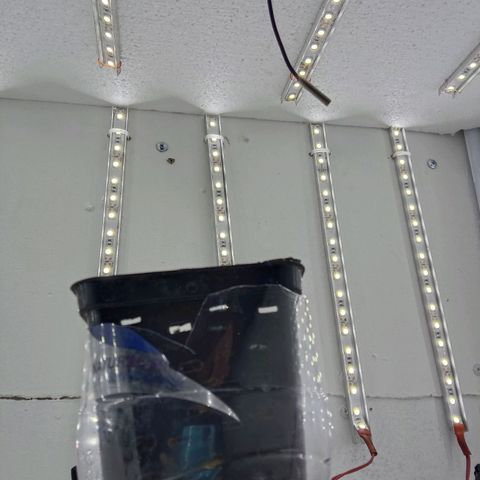 Kali Mist growlog photo: Добавлен свет верхний. Общий стал 64 ват.