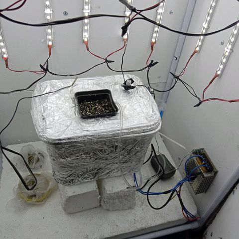 Kali Mist growlog timeline photo