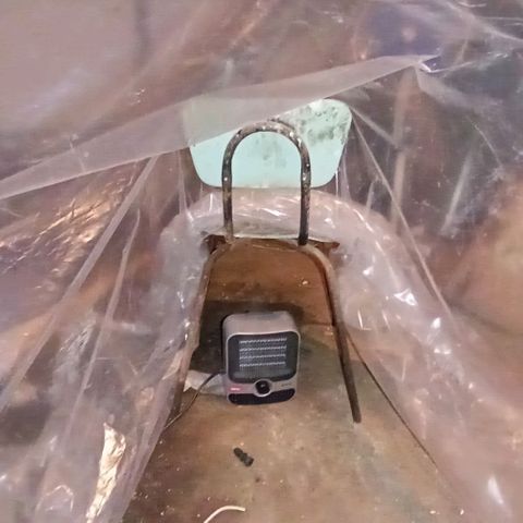 Kali Mist growlog photo: Тепличка, обогреватель помощь в обслуживание гроубокса