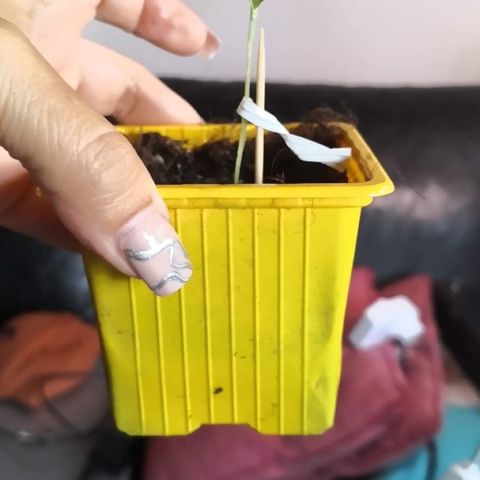 Génétique inconnue growlog timeline photo