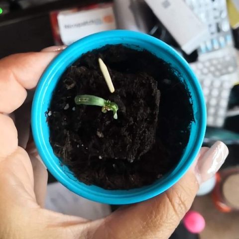 Génétique inconnue growlog timeline photo