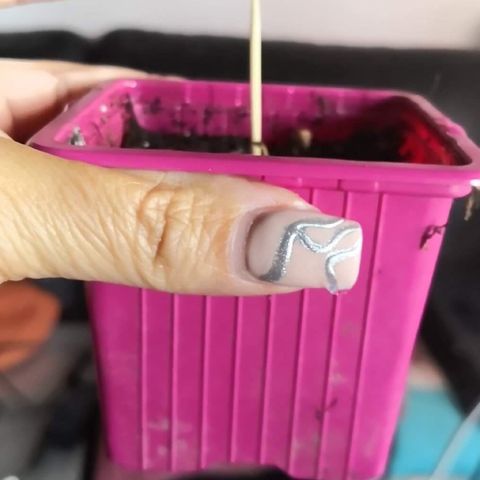 Génétique inconnue growlog timeline photo