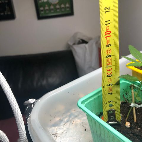 Génétique inconnue growlog timeline photo