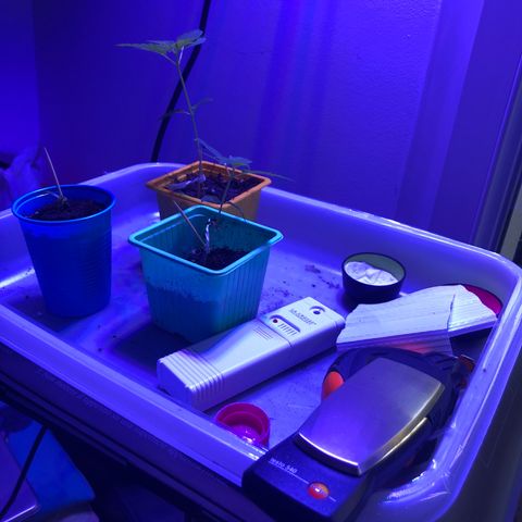 Génétique inconnue growlog timeline photo