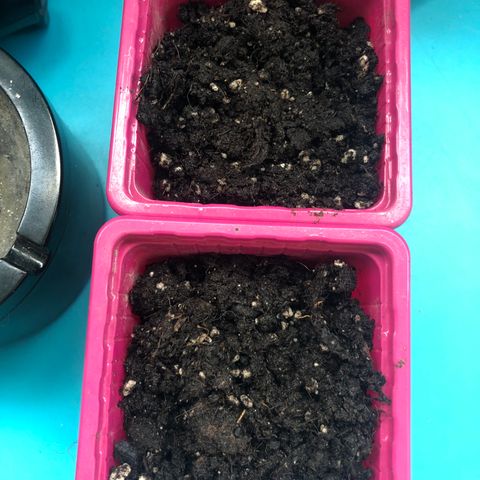Génétique inconnue growlog timeline photo