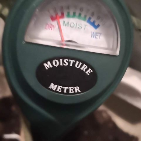 Génétique inconnue growlog timeline photo