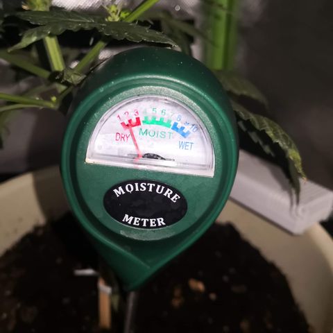 Génétique inconnue growlog timeline photo