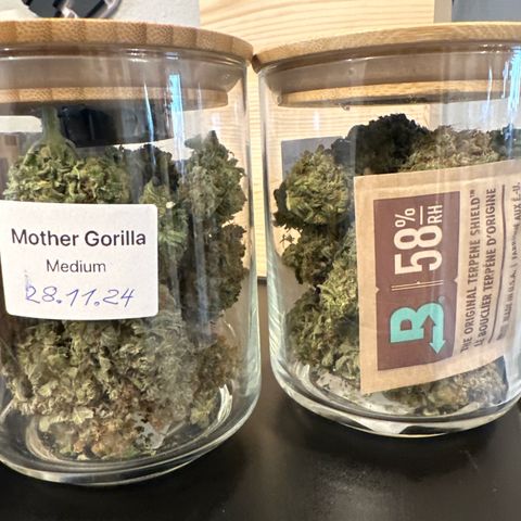 Mother Gorilla Becher mittel growlog timeline photo