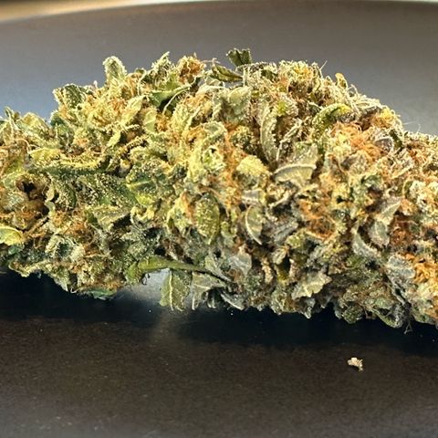 Mother Gorilla Becher mittel growlog timeline photo