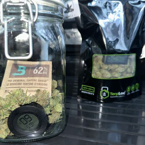 Runtz x Layer Cake 1 growlog timeline photo