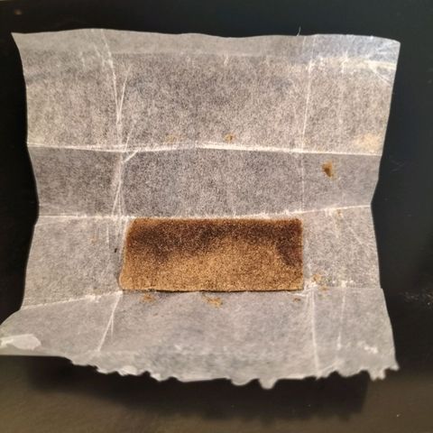 Northern Lights Auto (Indica) growlog timeline photo