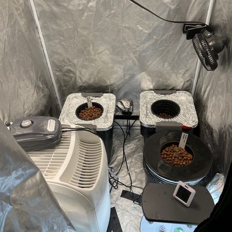 Slurpee Machine growlog photo: 63%rh going for 65-70