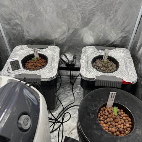 Slurpee Machine growlog photo: Humidity dropped need to fill humidifier