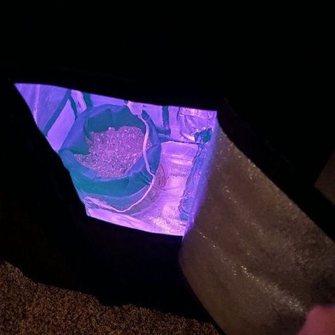 Riff raff #2 growlog timeline photo