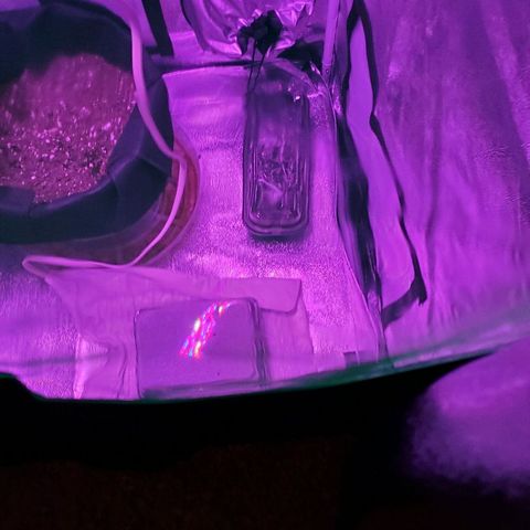 Riff raff #2 growlog timeline photo
