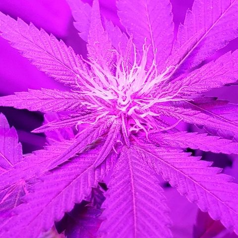 One growlog photo: Outside
