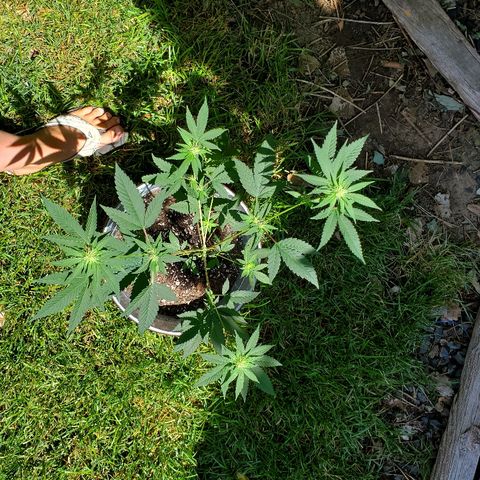 One growlog photo: Outside