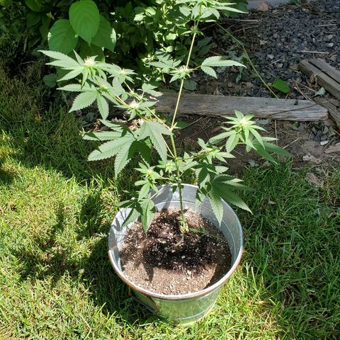 One growlog photo: Outside