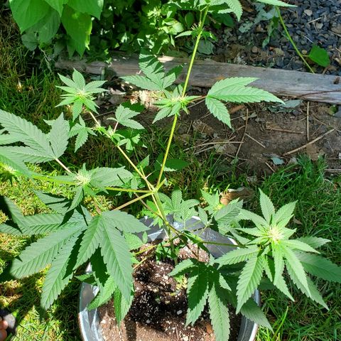 One growlog photo: Outside