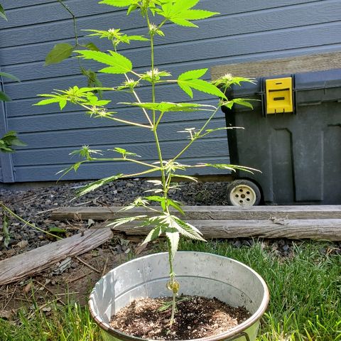 One growlog photo: Outside