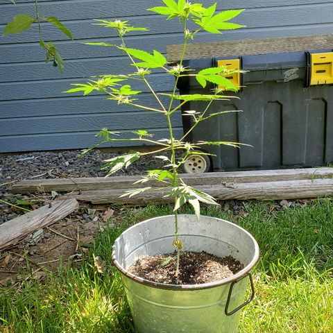 One growlog photo: Outside