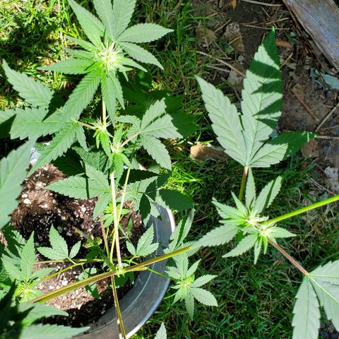 One growlog photo: Outside
