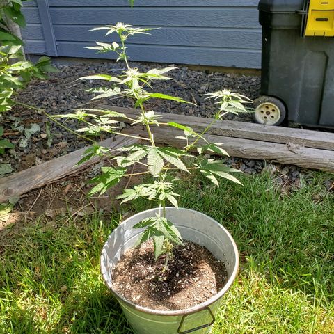One growlog photo: Outside
