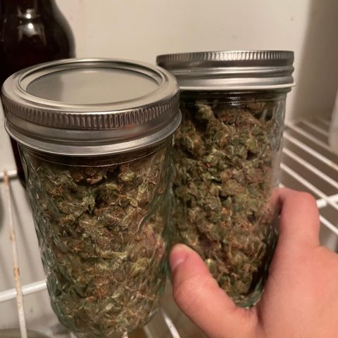 Agatha growlog timeline photo