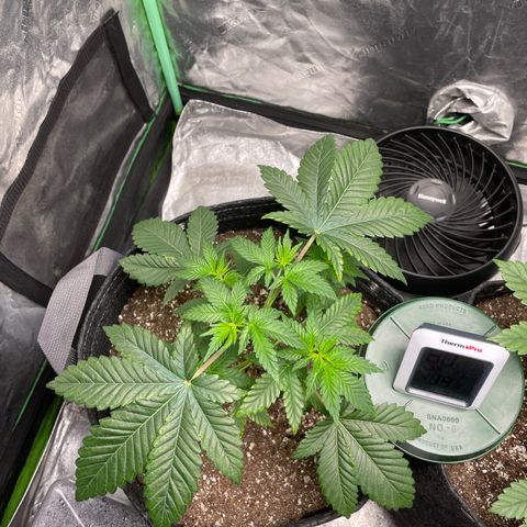 #1 growlog timeline photo