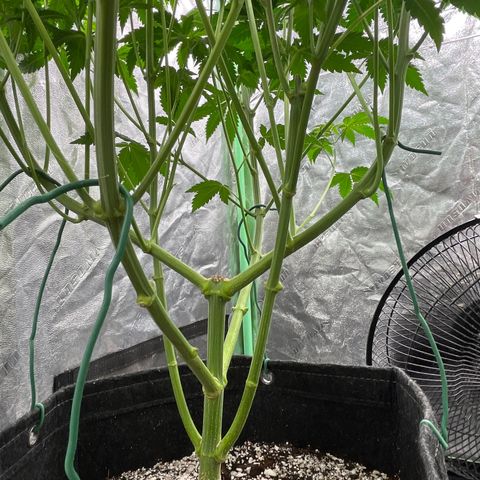 #1 growlog timeline photo