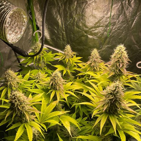 #1 growlog timeline photo