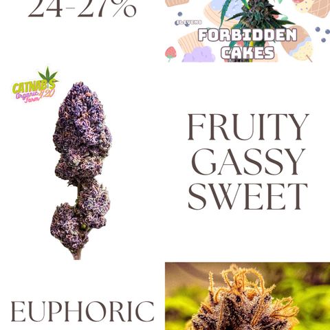Forbidden Cake growlog timeline photo