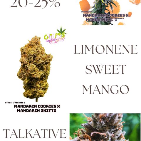 Freebies Mandarin cookies x Mandarin Zkittz #2 growlog timeline photo