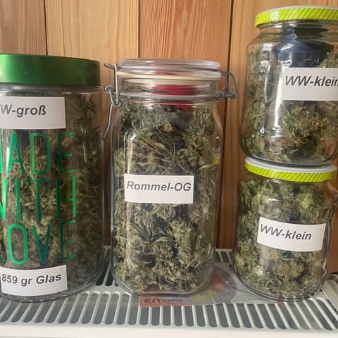White Widow Automatic x3 growlog timeline photo